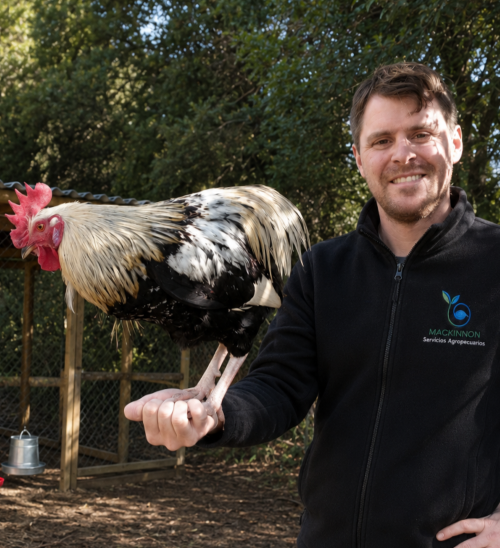 Andrew MacKinnon, Médico Veterinario